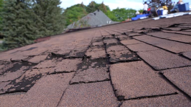 Best Rubber Roofing (EPDM, TPO)  in Bozeman, MT